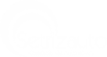 Setrizauto.com logo - Início